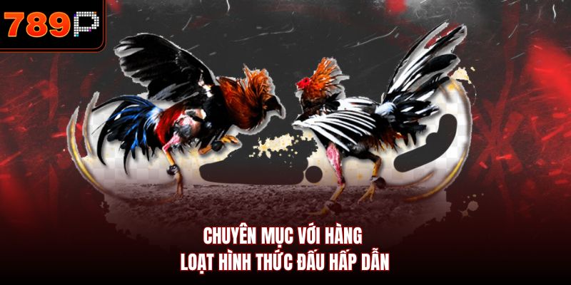 Chuyên mục với hàng loạt hình thức đấu hấp dẫn