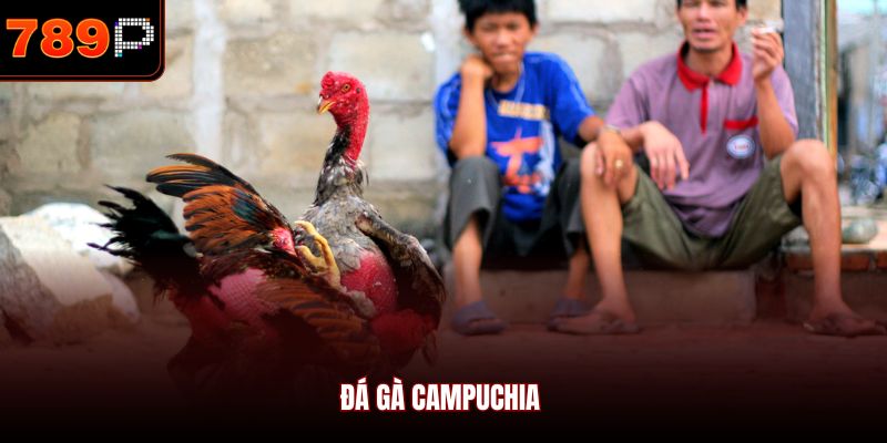 Đá gà Campuchia