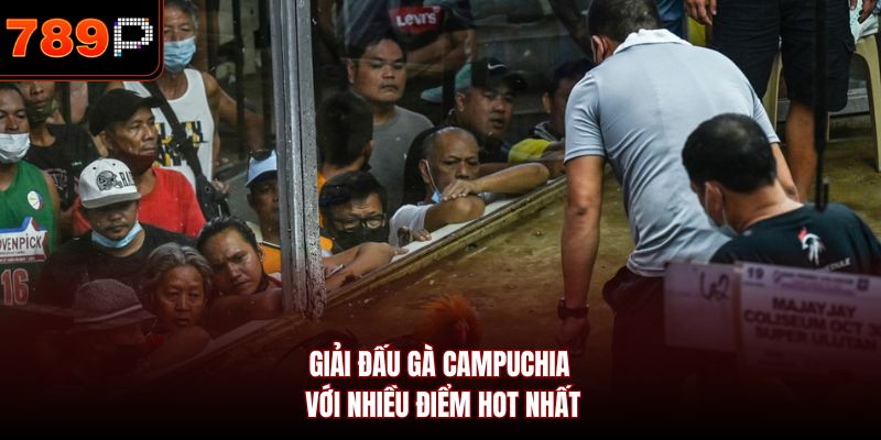 Giải đấu gà Campuchia với nhiều điểm hot nhất