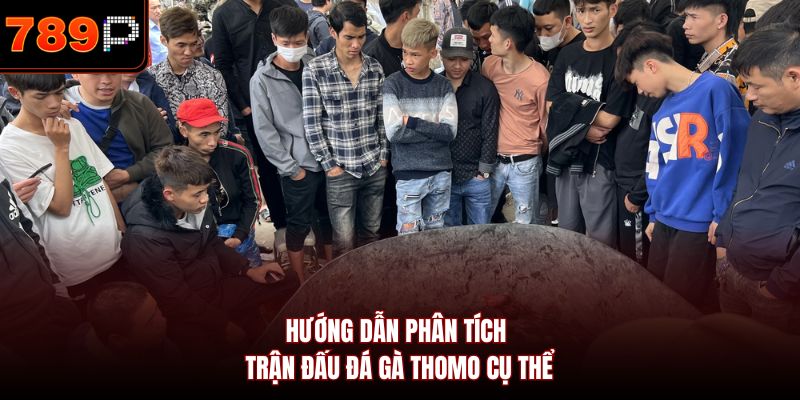 Hướng dẫn phân tích trận đấu đá gà Thomo cụ thể