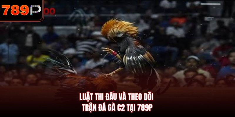 Luật thi đấu và theo dõi trận đá gà C2 tại 789P