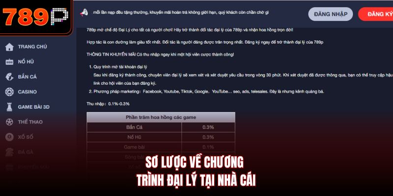 Sơ lược về chương trình đại lý tại nhà cái